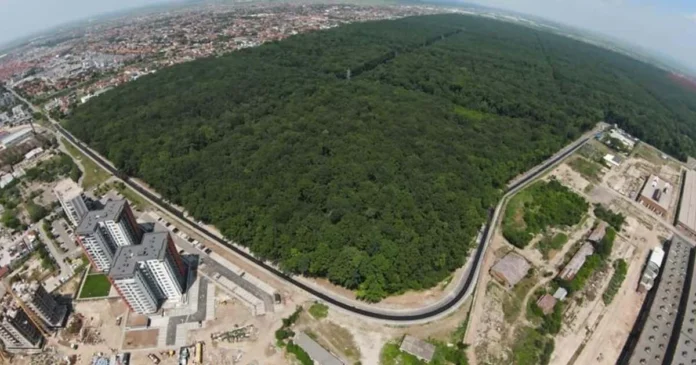 Pădurea-parc prinde contur după șase ani. Investiție de 20 de milioane lei