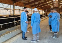 Piață cheie pentru crescătorii români s-ar putea redeschide. Exporturi de 14,3 mil. $ Piață cheie pentru crescătorii români s-ar putea redeschide. Exporturi de 14,3 mil. $