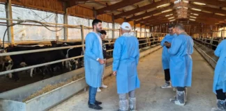 Piață cheie pentru crescătorii români s-ar putea redeschide. Exporturi de 14,3 mil. $ Piață cheie pentru crescătorii români s-ar putea redeschide. Exporturi de 14,3 mil. $