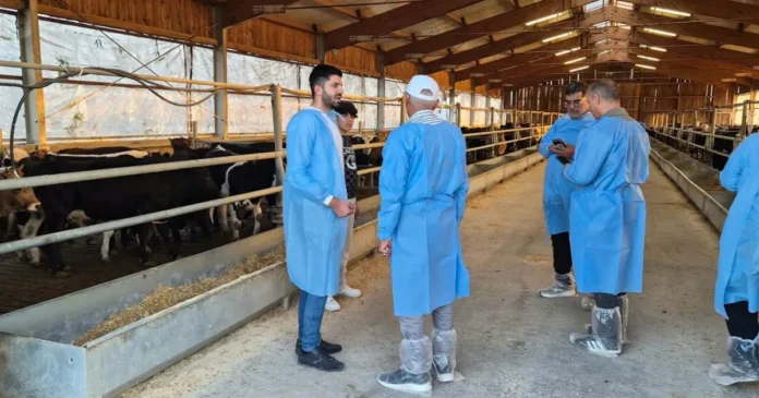 Piață cheie pentru crescătorii români s-ar putea redeschide. Exporturi de 14,3 mil. $ Piață cheie pentru crescătorii români s-ar putea redeschide. Exporturi de 14,3 mil. $