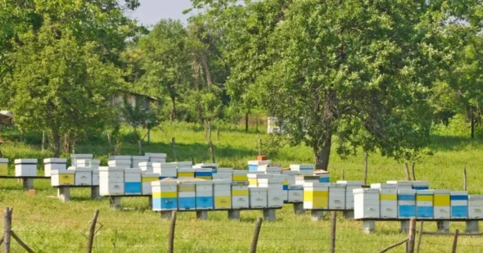 Rovinieta ar putea fi eliminată pentru o categorie de vehicule. Ce schimbări se propun Rovinieta ar putea fi eliminată pentru o categorie de vehicule. Ce schimbări se propun
