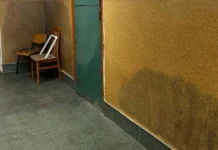 Scandal la Liceul Silvic din Timișoara: insecte în clase și toalete murdare Scandal la Liceul Silvic din Timișoara: insecte în clase și toalete murdare