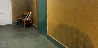 Scandal la Liceul Silvic din Timișoara: insecte în clase și toalete murdare Scandal la Liceul Silvic din Timișoara: insecte în clase și toalete murdare