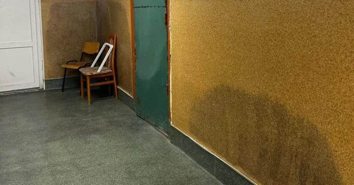 Scandal la Liceul Silvic din Timișoara: insecte în clase și toalete murdare Scandal la Liceul Silvic din Timișoara: insecte în clase și toalete murdare
