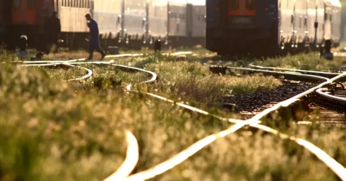 Sindicaliștii: trenurile pot fi oprite. 1.550 de angajați CFR Marfă, neplătiți