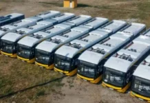 STPT licitează polițe RCA pentru toată flota, inclusiv tramvaie vechi de 60 de ani STPT licitează polițe RCA pentru toată flota, inclusiv tramvaie vechi de 60 de ani