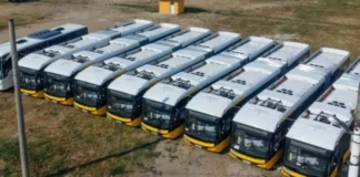 STPT licitează polițe RCA pentru toată flota, inclusiv tramvaie vechi de 60 de ani STPT licitează polițe RCA pentru toată flota, inclusiv tramvaie vechi de 60 de ani