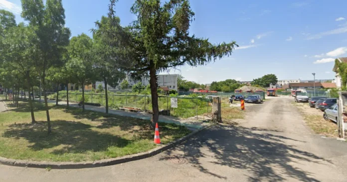 Supermarketul Kandia, obligat să compenseze spațiul verde sacrificat Supermarketul Kandia, obligat să compenseze spațiul verde sacrificat
