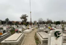 Timișoara: se deschid înscrierile pentru comercianții de flori și candele de Ziua Morților Timișoara: se deschid înscrierile pentru comercianții de flori și candele de Ziua Morților