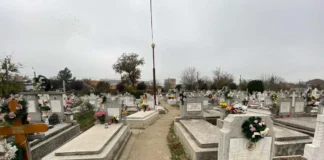 Timișoara: se deschid înscrierile pentru comercianții de flori și candele de Ziua Morților Timișoara: se deschid înscrierile pentru comercianții de flori și candele de Ziua Morților