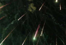 Timișorenii cer un Revelion fără artificii Timișorenii cer un Revelion fără artificii