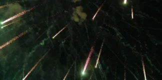 Timișorenii cer un Revelion fără artificii Timișorenii cer un Revelion fără artificii